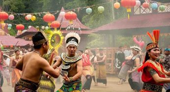 Rainforest World Music Festival 2025